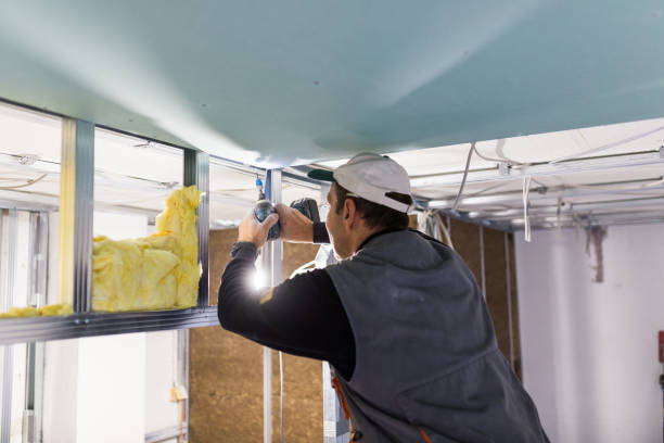 Best Geographic-Specific Insulation Services in Wendell, NC