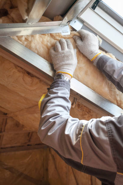 Best Insulation Maintenance and Repair in Wendell, NC