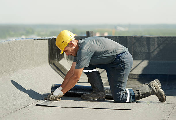 Best Eco-Friendly Insulation in Wendell, NC