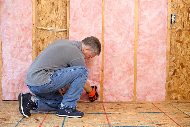 Best Spray Foam Insulation in Wendell, NC